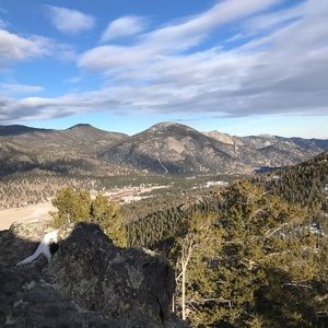 Meet your Posher, Starr